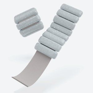 Bala Bangles 2 lb Wrists Ankles Weights Shine Silver Fitness Carrying Bag